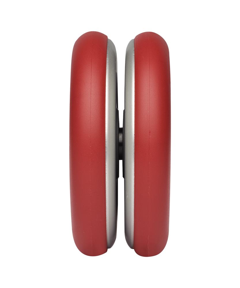 Henrys Yo-Yo Coral Snake rot