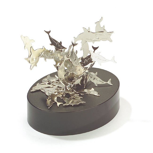 Magnet Box Delfine