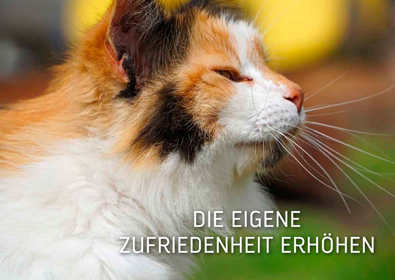 Buch Entschleunigung Impulskarten