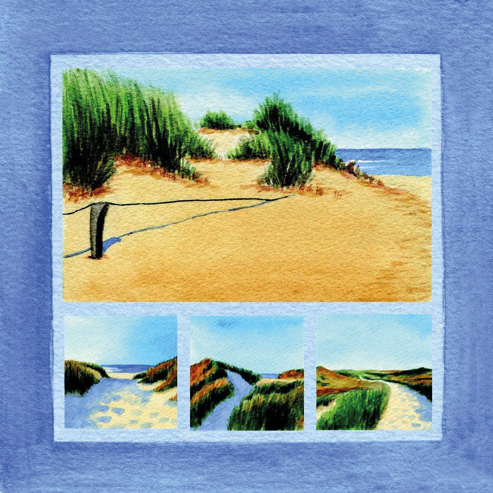 Magnetschild Dünenimpressionen